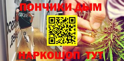 шишки Кингисепп