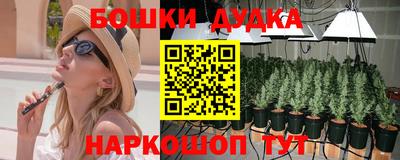 амф Бийск