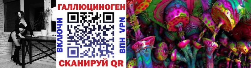 даркнет сайт  Звенигород  Псилоцибиновые грибы Psilocybe 